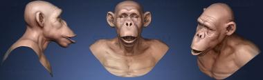 3D model Monkey (STL)